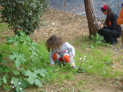 chasse-oeufs-20050326-05