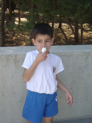 chasse-oeufs-20050326-25