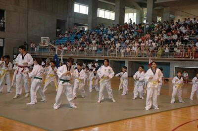 fete-du-college-200600603-175