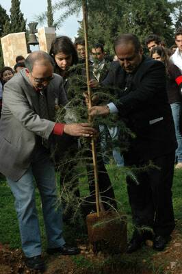 ter-cedre-promo05-gebrantueini-20051219-24