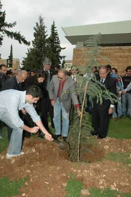 ter-cedre-promo05-gebrantueini-20051219-26