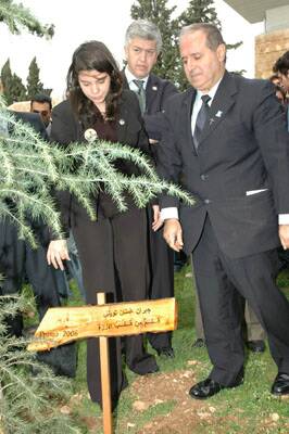 ter-cedre-promo05-gebrantueini-20051219-29