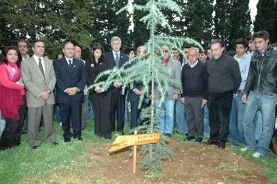 ter-cedre-promo05-gebrantueini-20051219-30